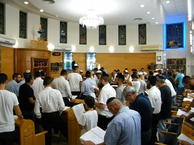 גלריית בית הכנסת המרכזי גבעת האירוסים 2