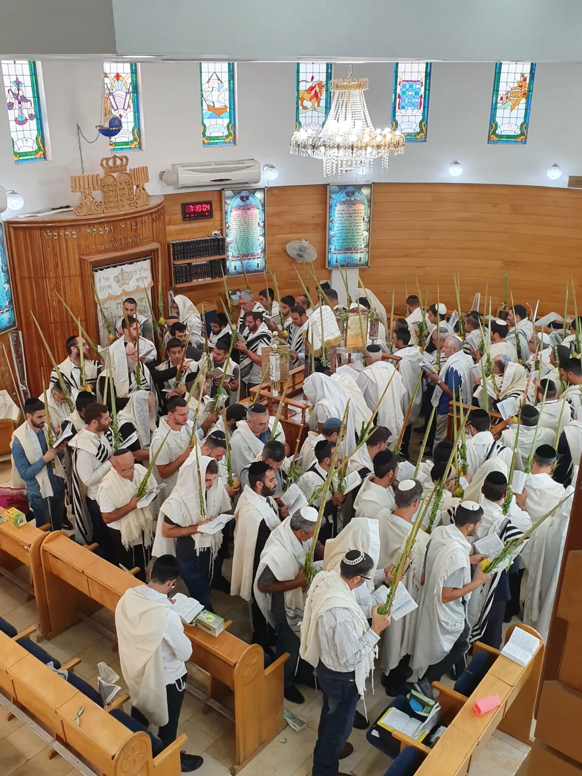 גלריית בית הכנסת המרכזי גבעת האירוסים 3